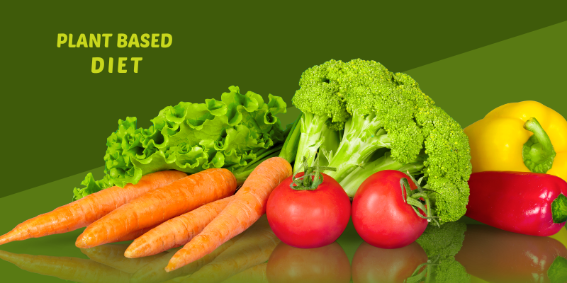 Plant-Based Diet