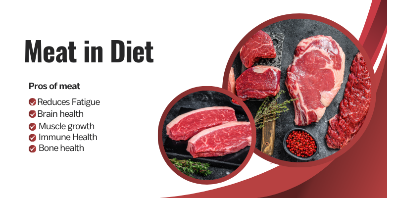 Meat in diet